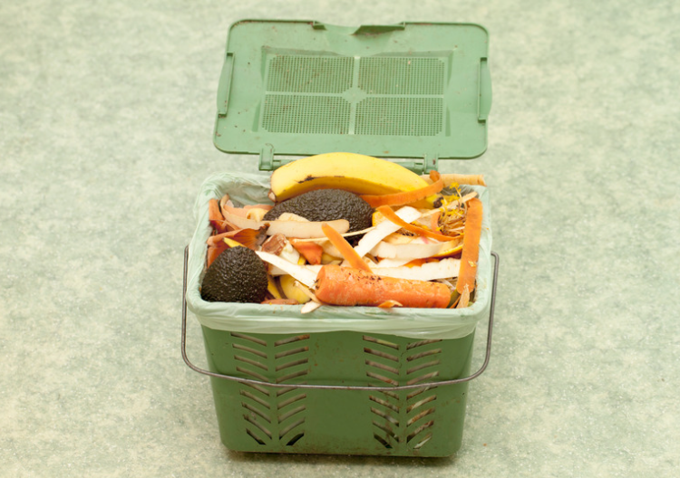 6 Environment- Ways to Recycle Food Waste