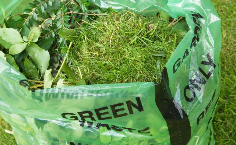 Things That Are Viewed as Green Waste