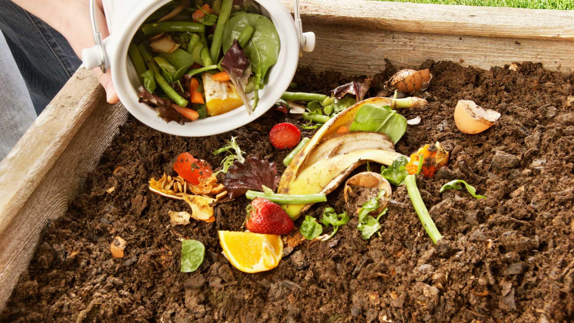 Get Composting