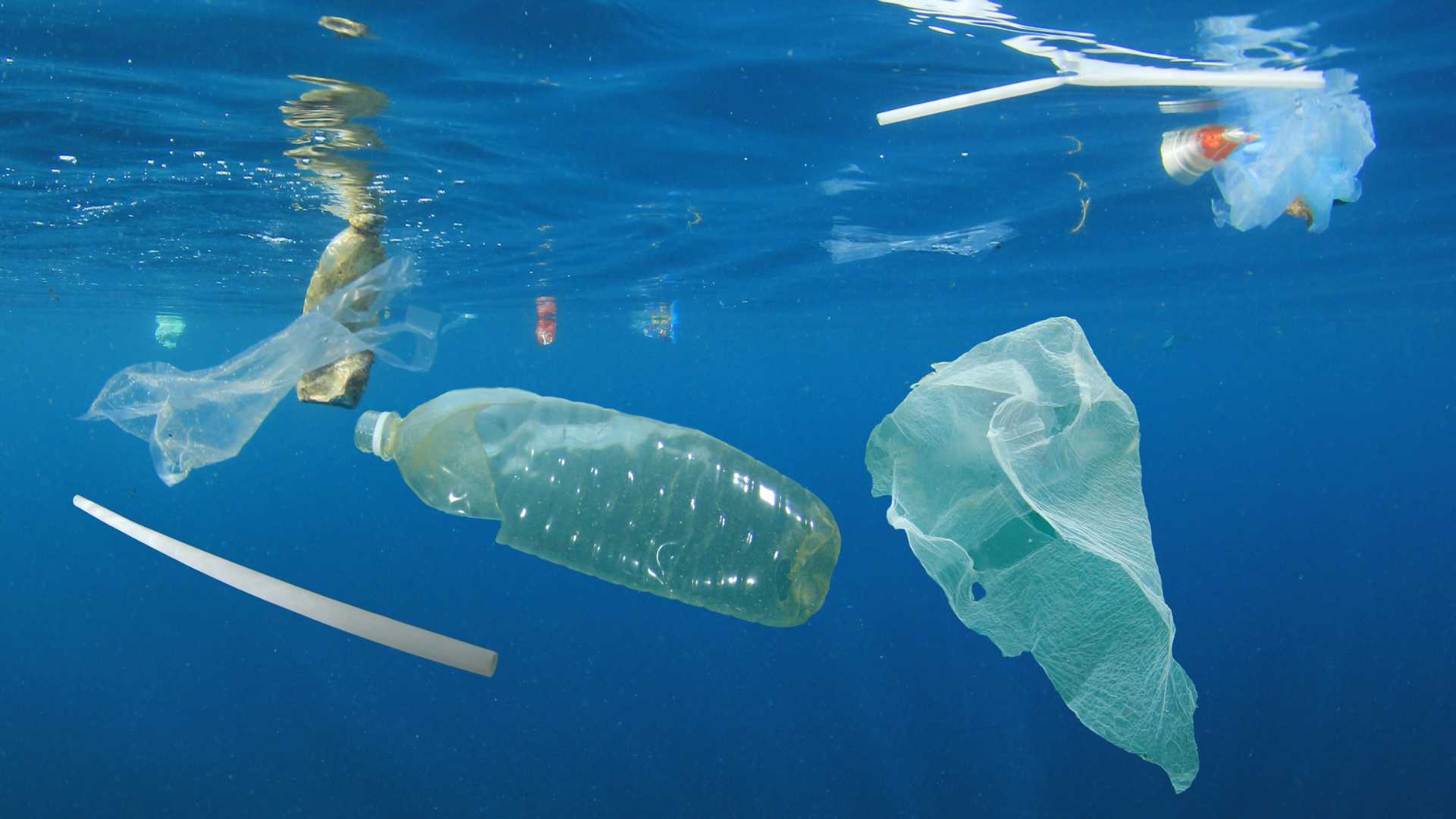 The Challenge of Ocean Plastic Pollution