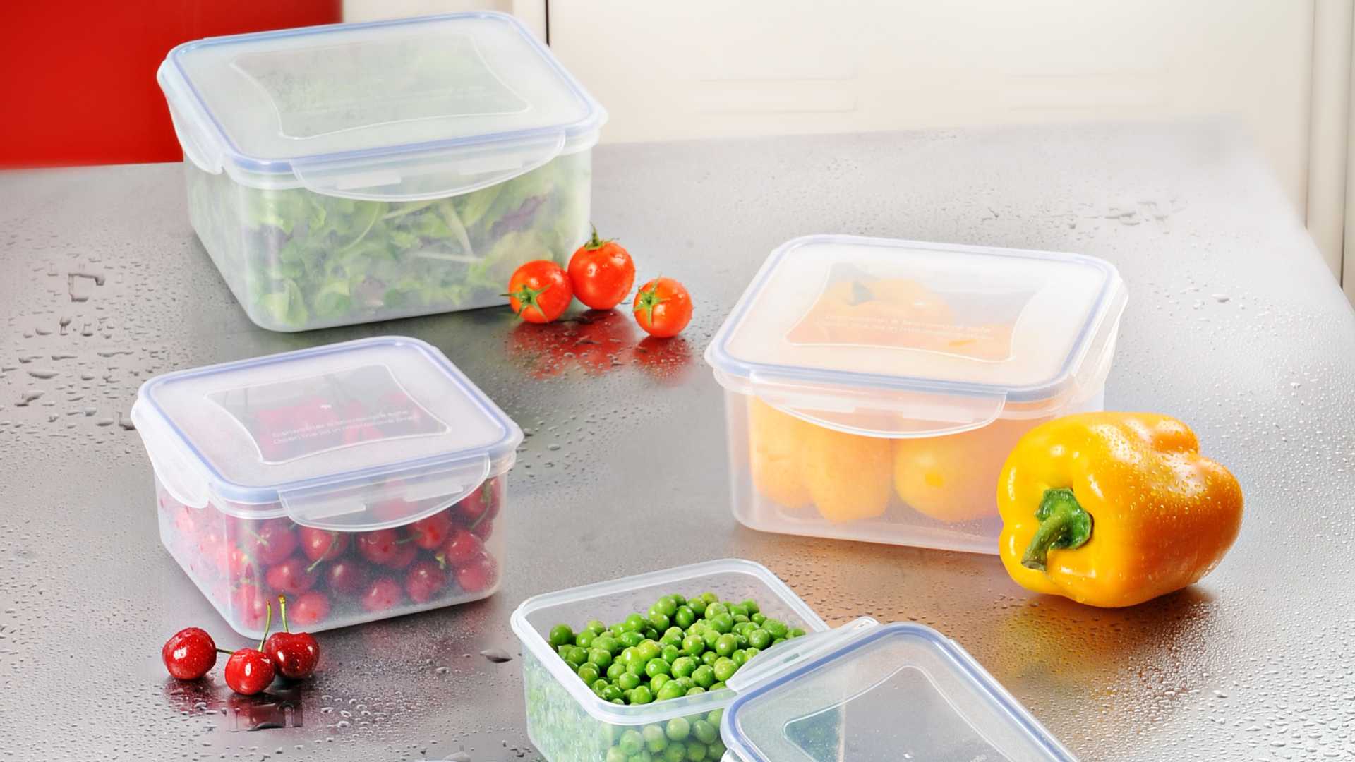 Reusbale Food Containers