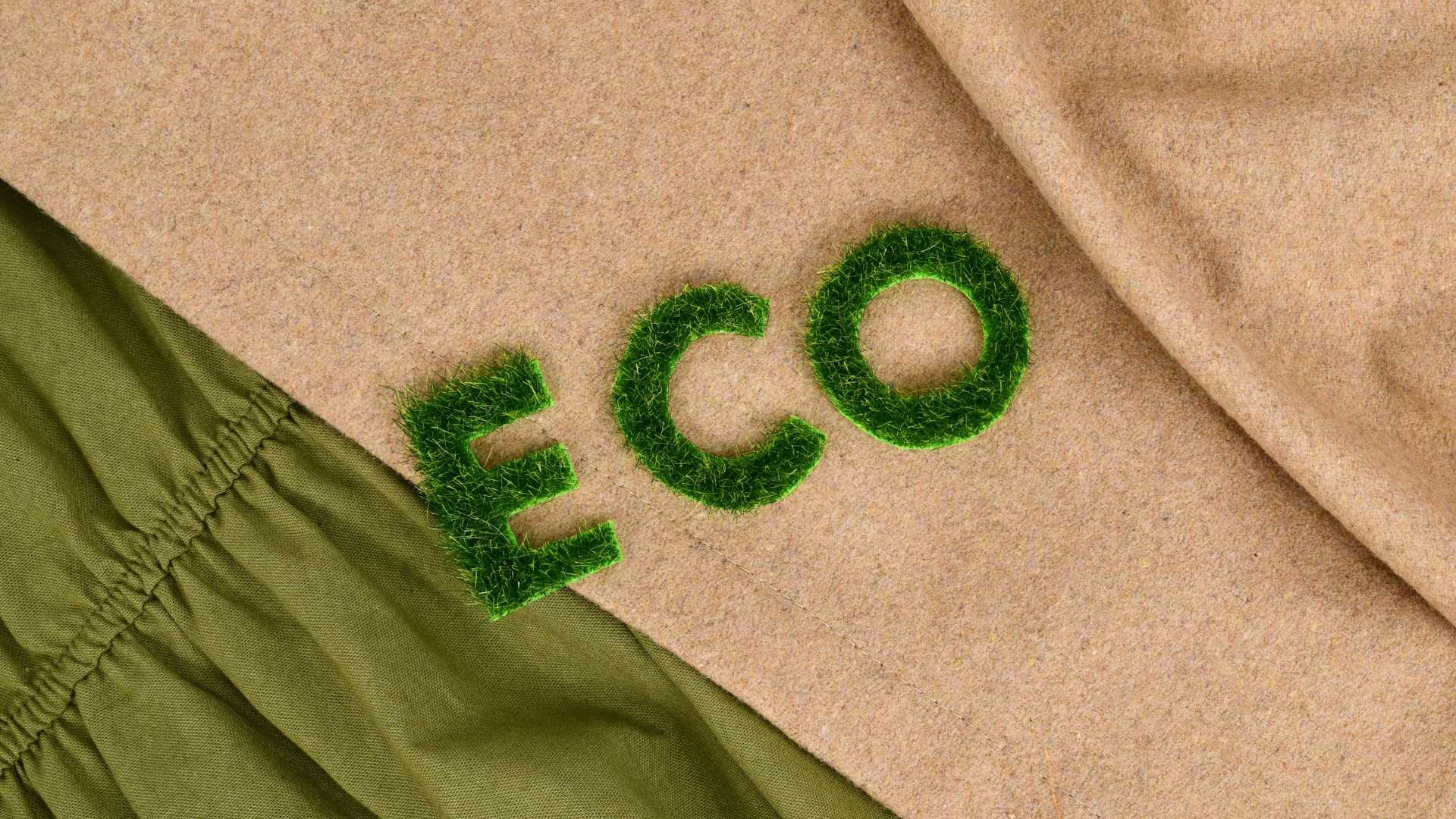 Select Eco-Friendly Furniture