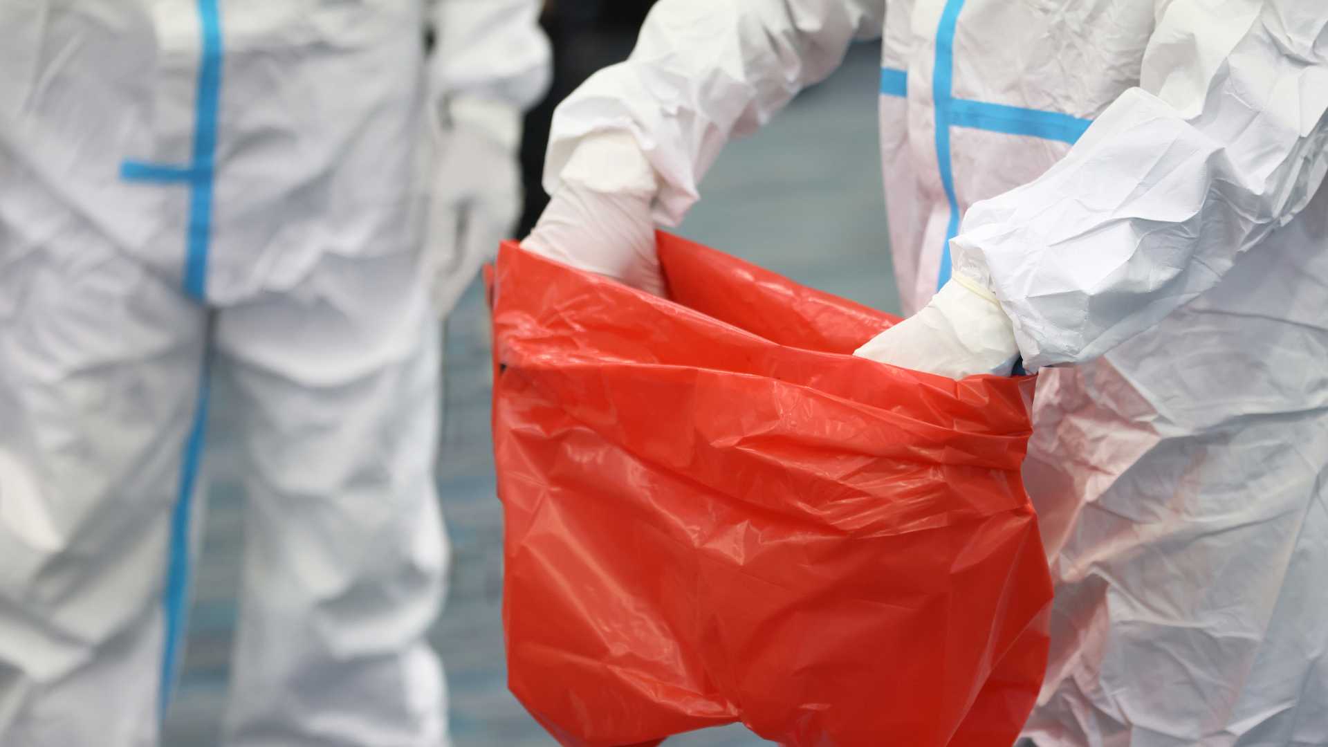 Examine the Sort of Plastic Bag