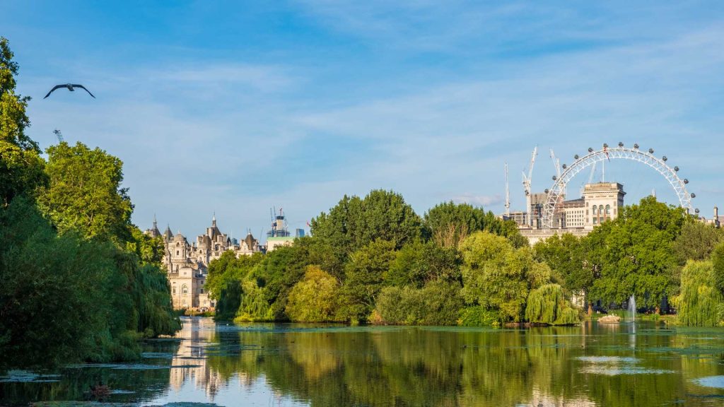 why you should plant more trees in london