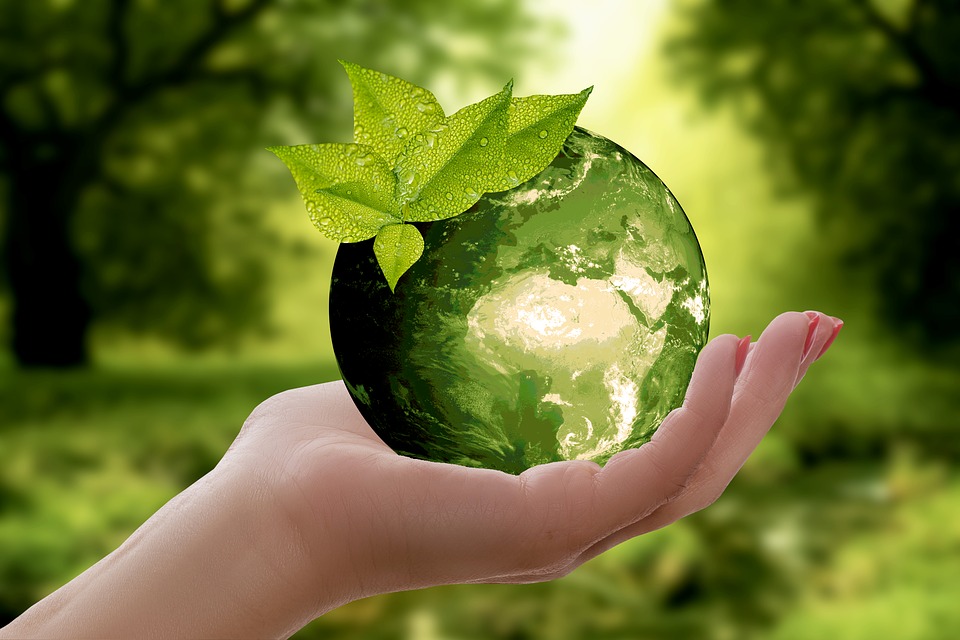 How Recycling Helps To Save Nature