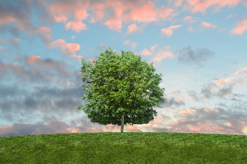 recycle wastes and save nature
