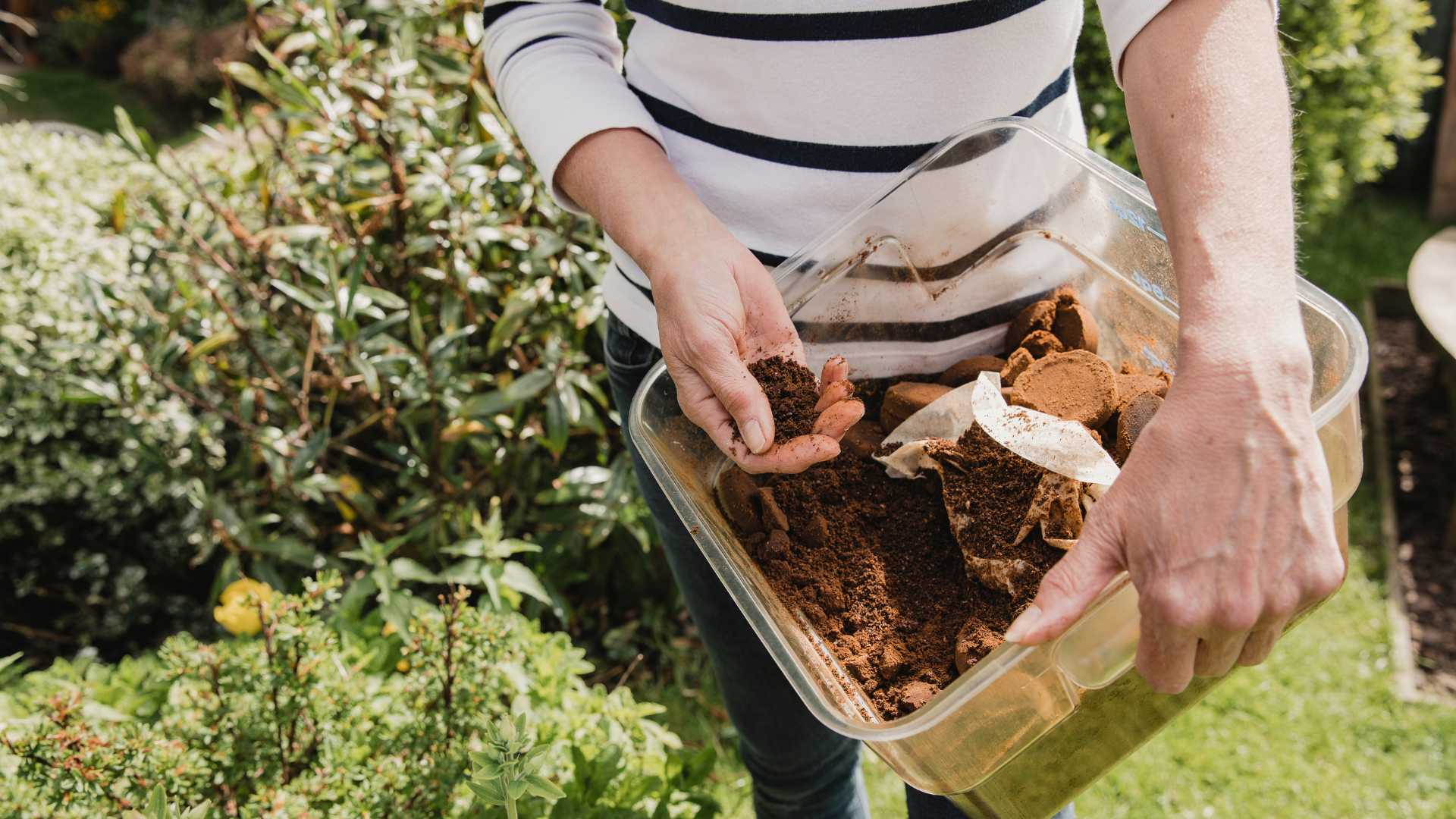 Composting Process in Waste Management (1)