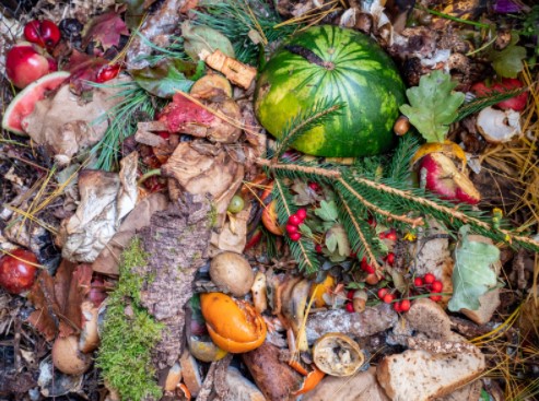 decomposing pile