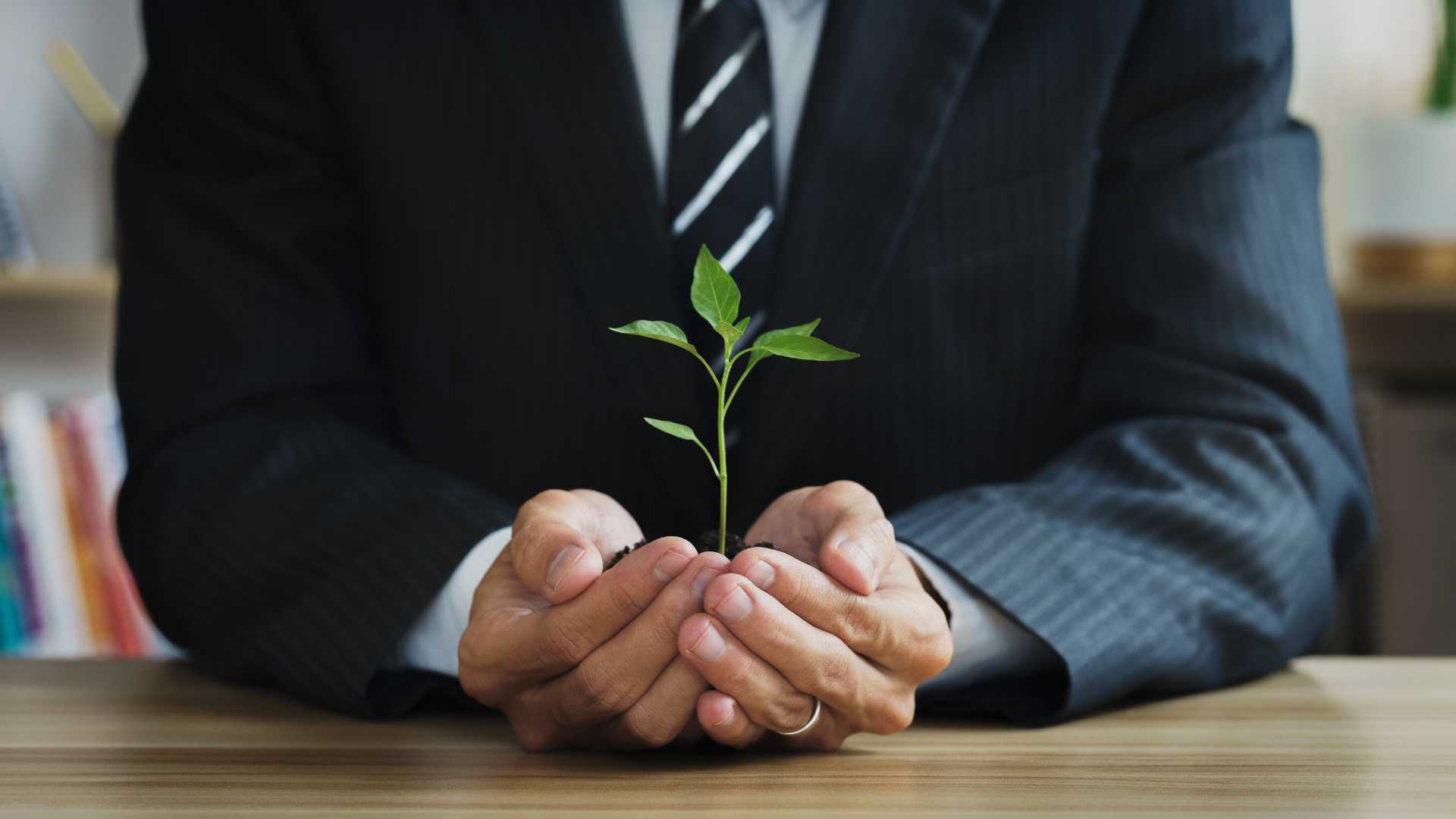 How to run your Business in an Environment-Friendly Manner
