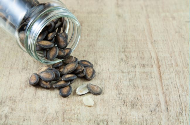 Seeds Saver