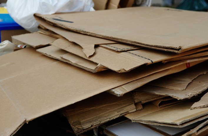 Cardboard