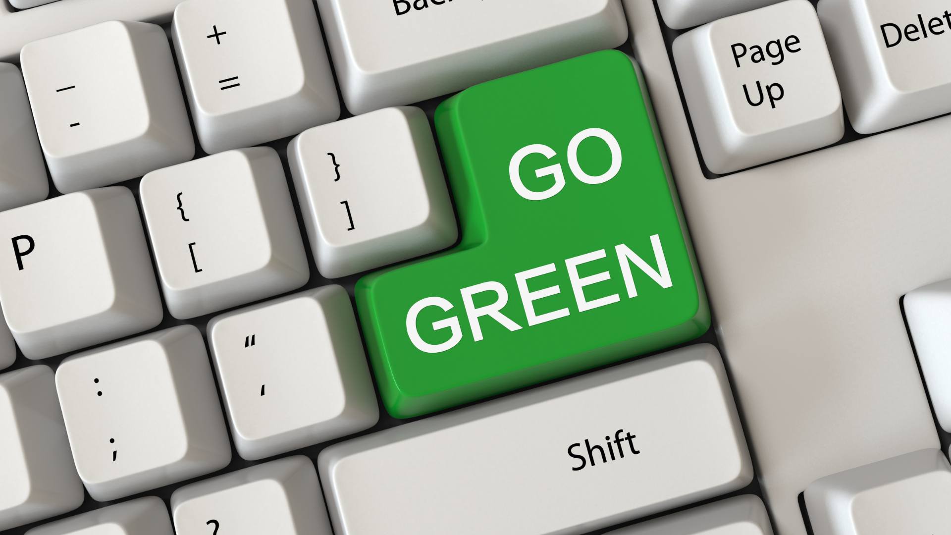Benefits of Going Green for your Business