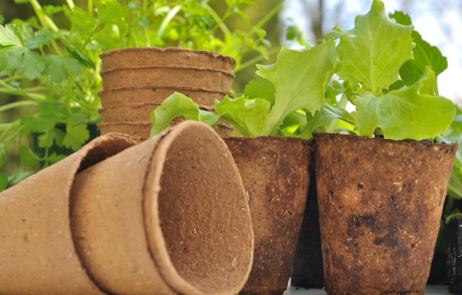Biodegradable