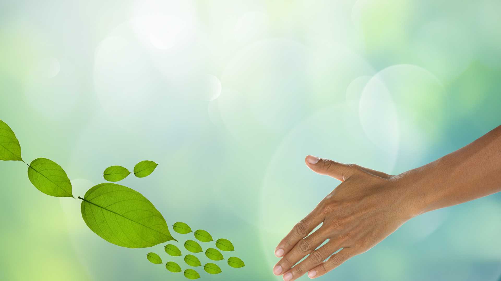 Examine Your Own Sustainability and Your Way of Life