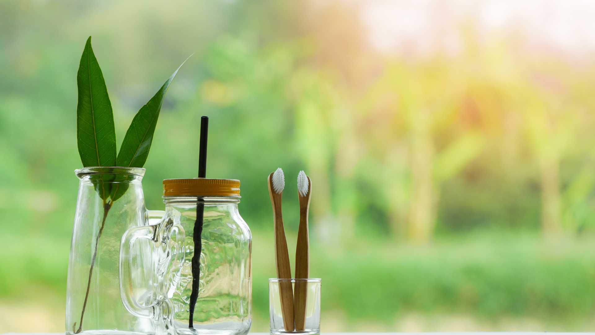 Defining the Zero Waste Swap