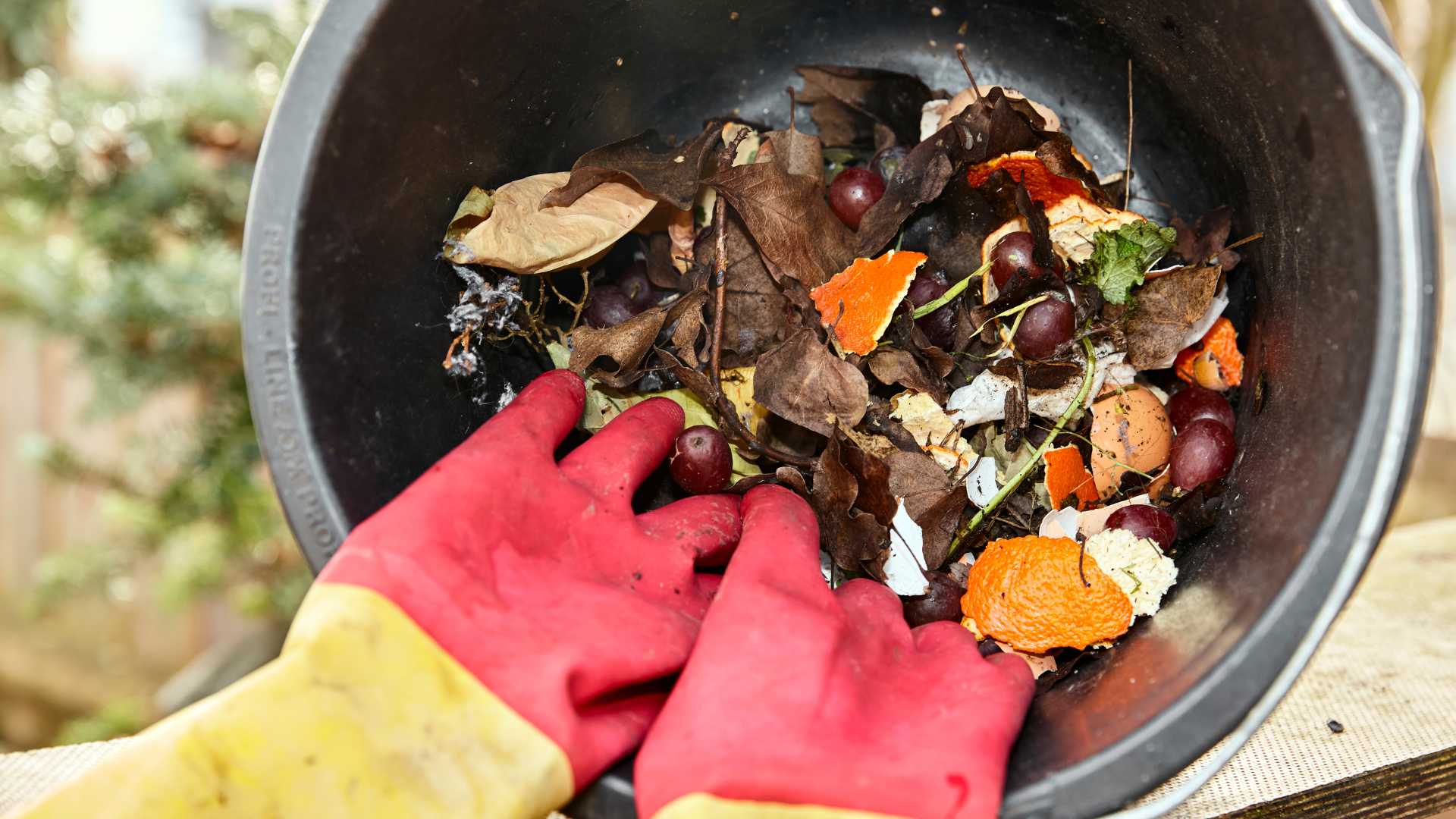 Use Compost Bin