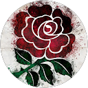 Ramy Badr profile picture